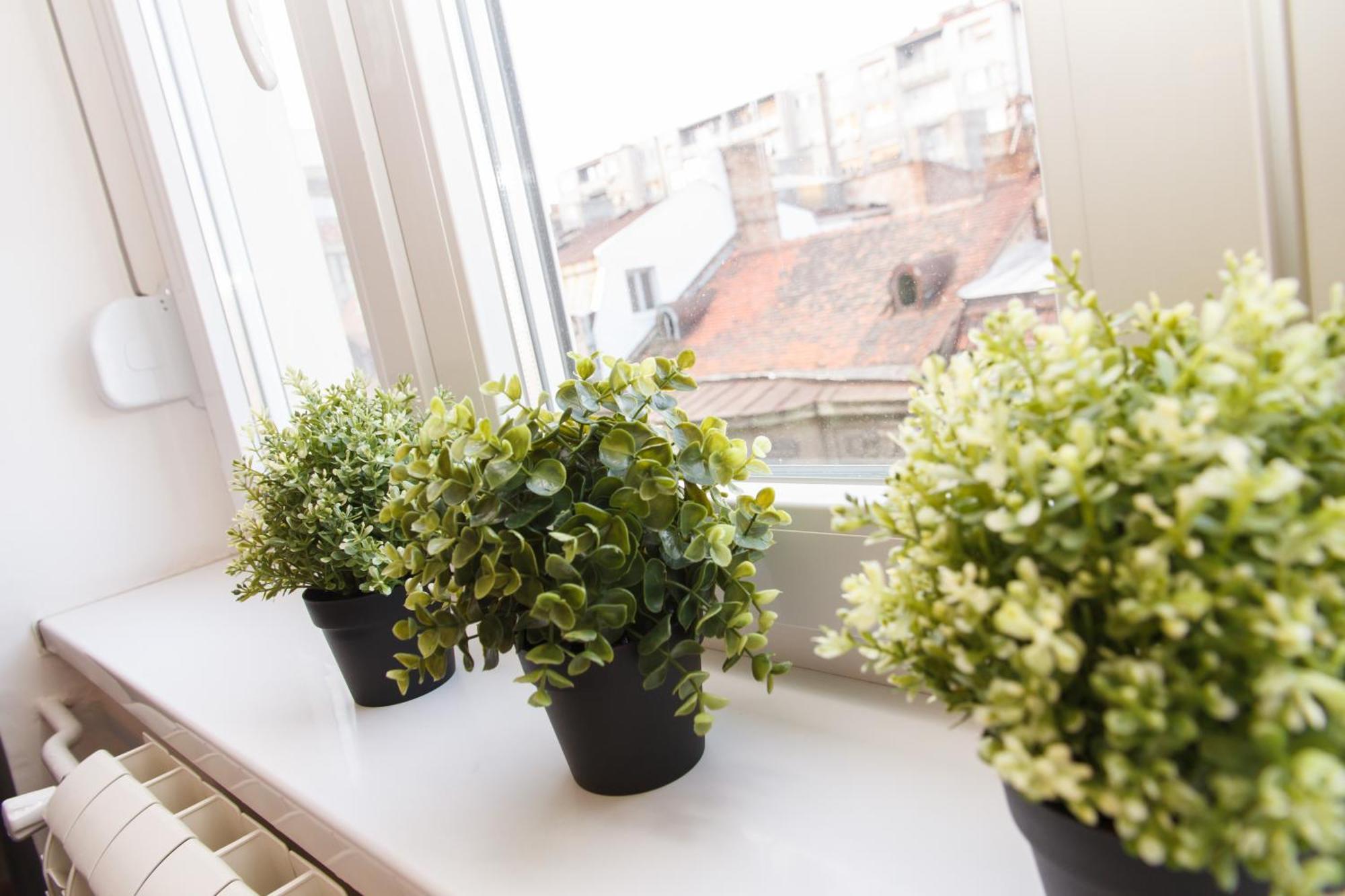 City Break Apartments - City Zen Belgrado Buitenkant foto